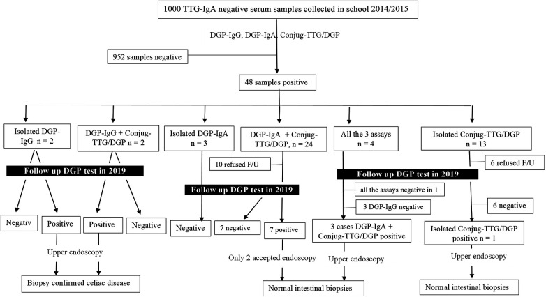 Performance of deamidated gliadin peptide antibodies as first screening ...