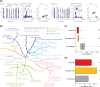 Candidate genes, biological processes and phenotypes involved in parallel genetic adaptation.