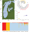 Population structure of Lake Michigan yellow perch populations