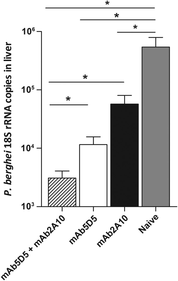 Figure 6.