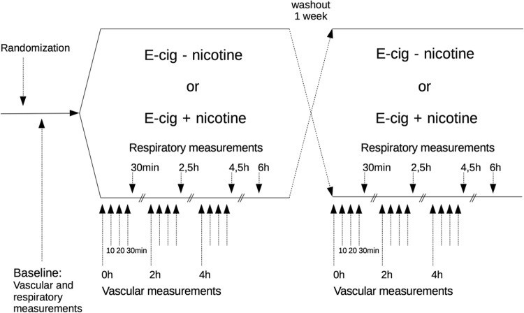 Fig. 1