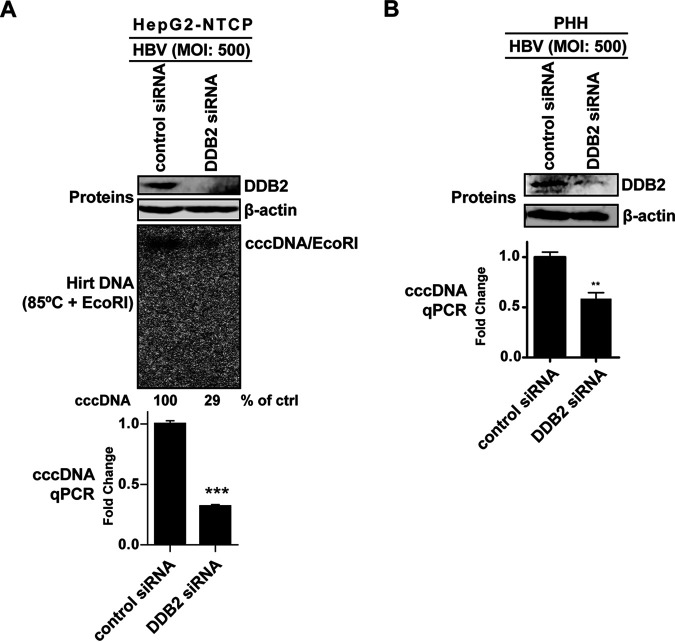 FIG 6