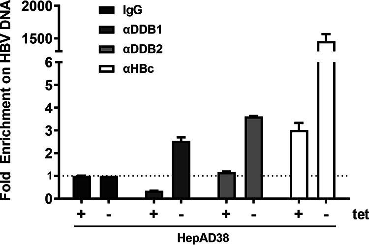 FIG 3