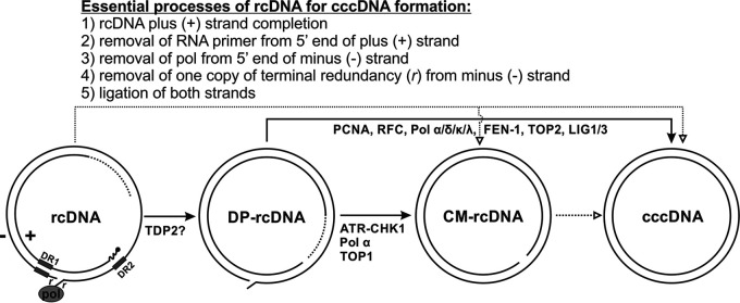 FIG 1