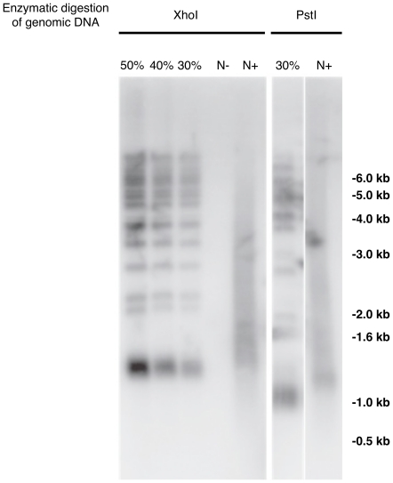 Figure 6