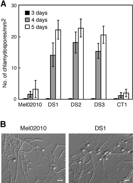 FIG. 7.