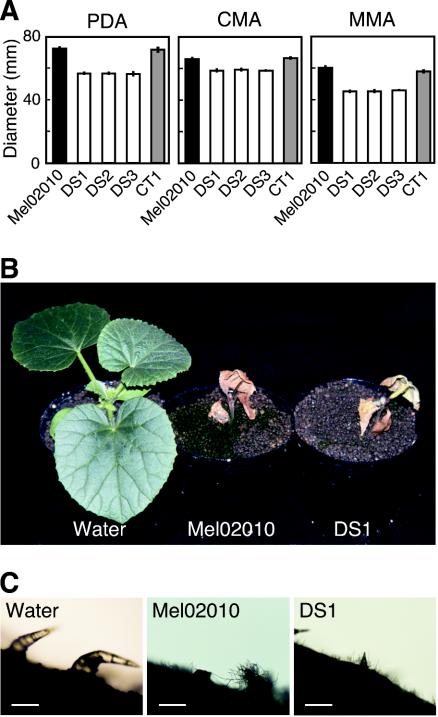 FIG. 8.