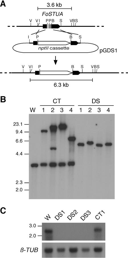 FIG. 5.