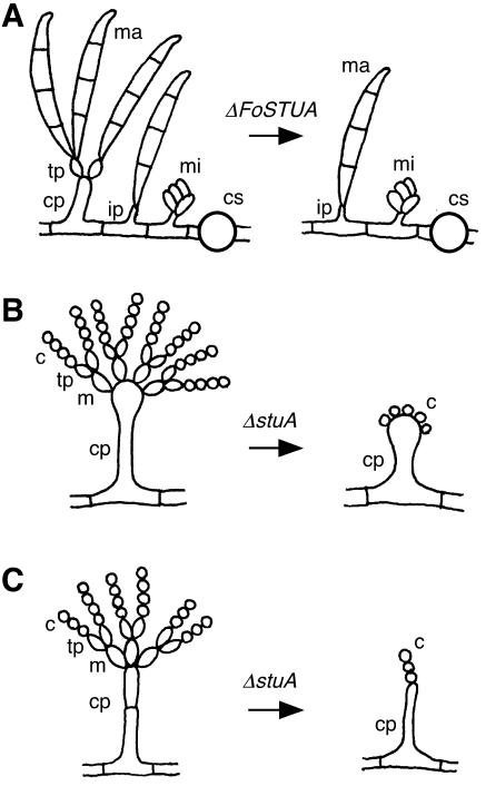 FIG. 9.