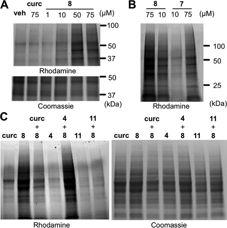 Figure 5.