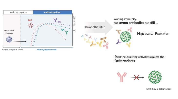 Graphical Abstract