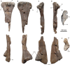 Fig 14