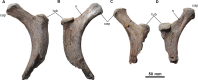 Fig 8