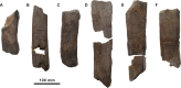 Fig 6