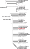 Fig 15