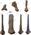 Fig 3