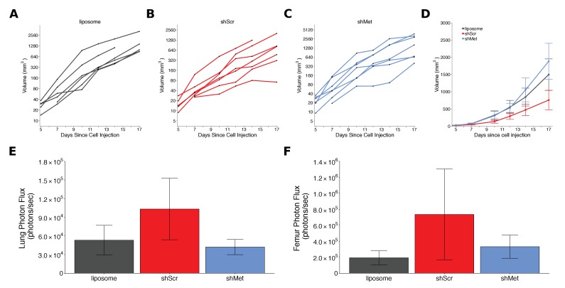 Figure 2—figure supplement 1.