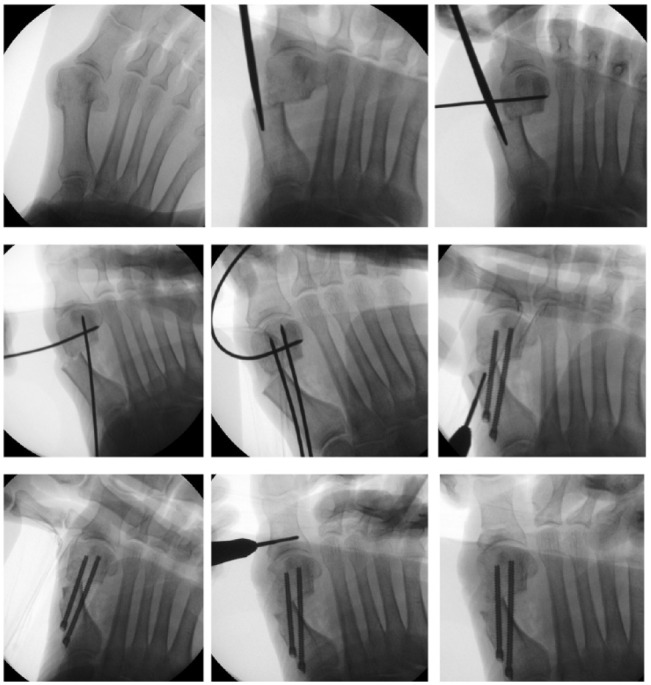 Figure 1.