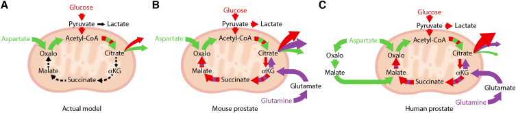 Figure 5