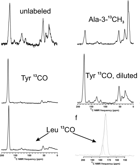 Fig. 3.