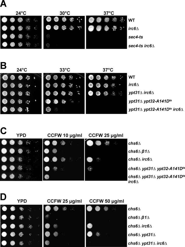 FIGURE 6: