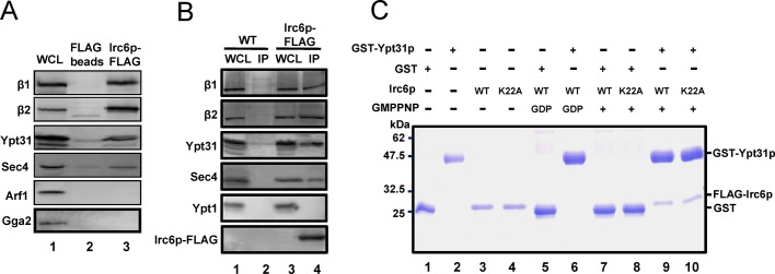 FIGURE 5: