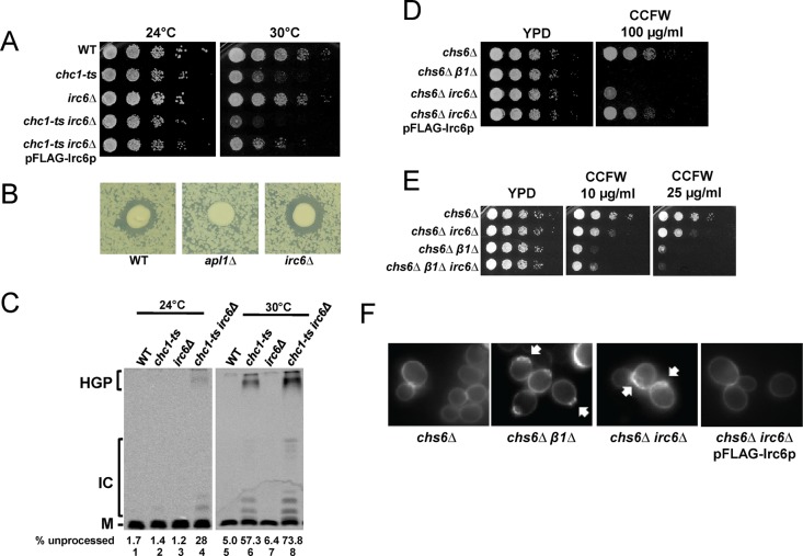 FIGURE 1: