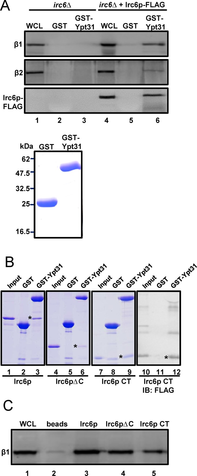 FIGURE 7: