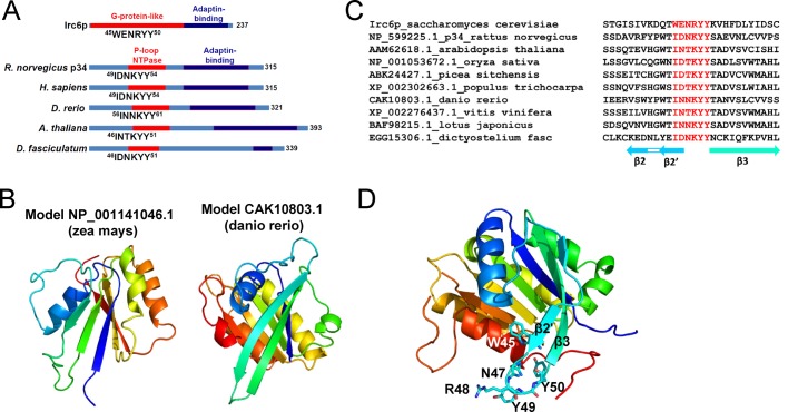 FIGURE 4: