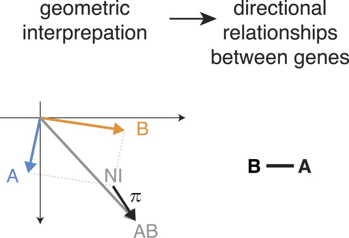 Figure 4—figure supplement 1.