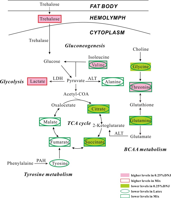 Fig 5