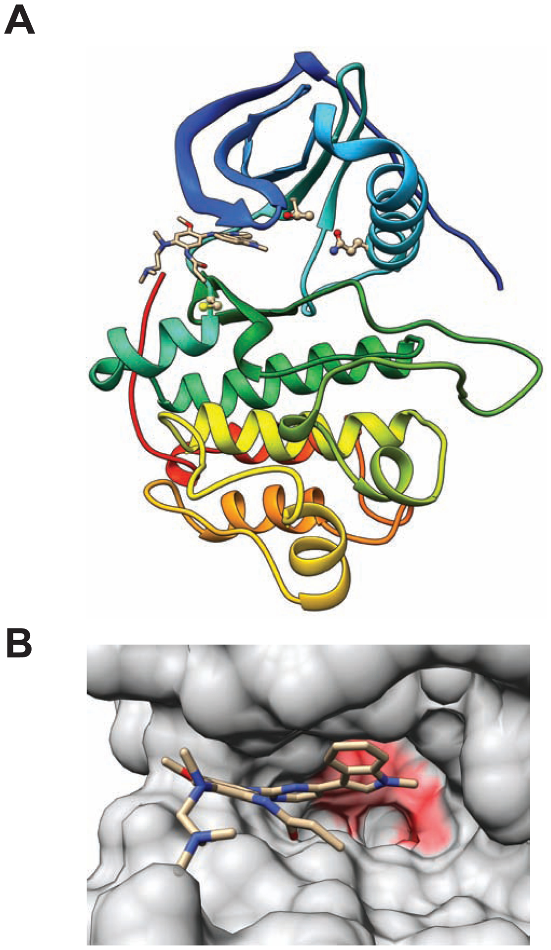 Figure 1.