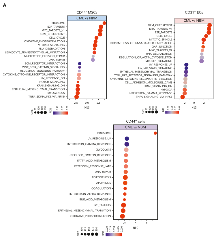 Figure 2.