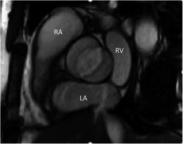 Fig. 8