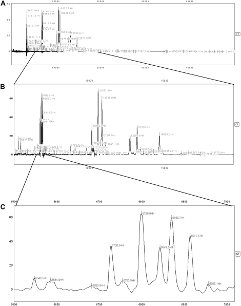 Figure 2.