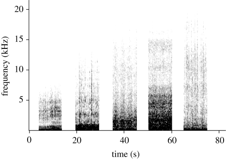 Figure 1.