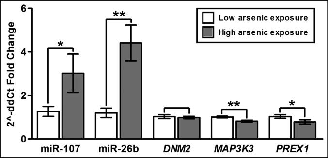 Fig 5