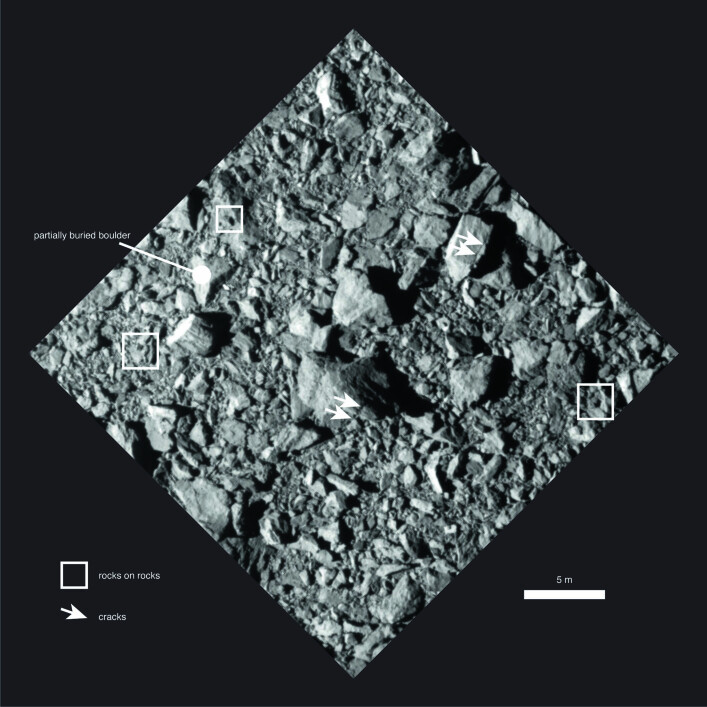 Extended Data Fig. 5