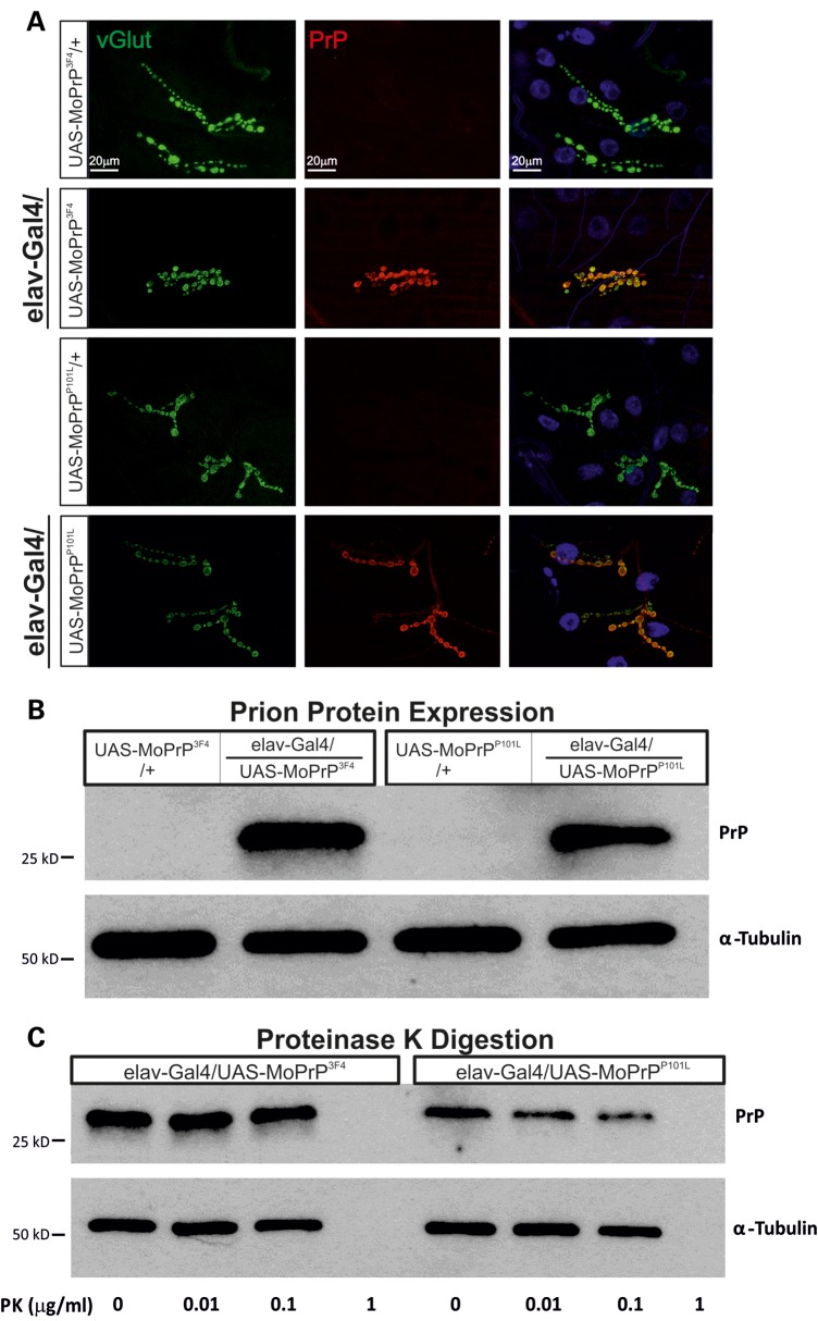 Figure 1.