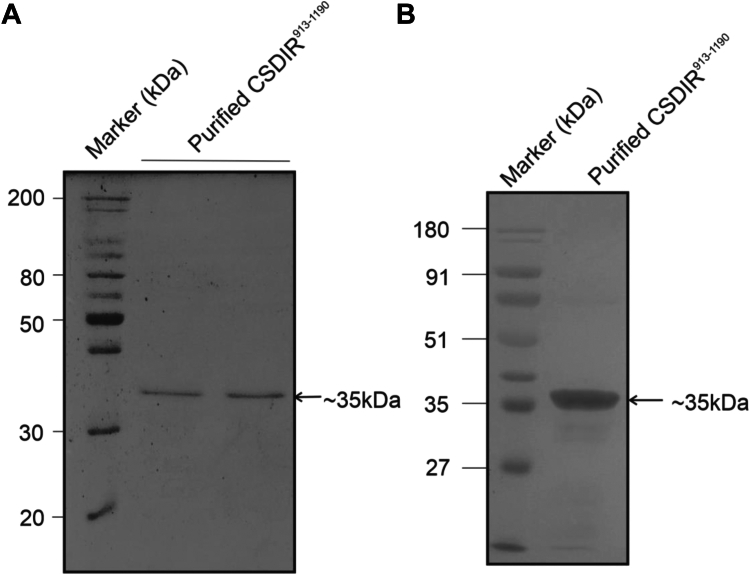 Figure 4