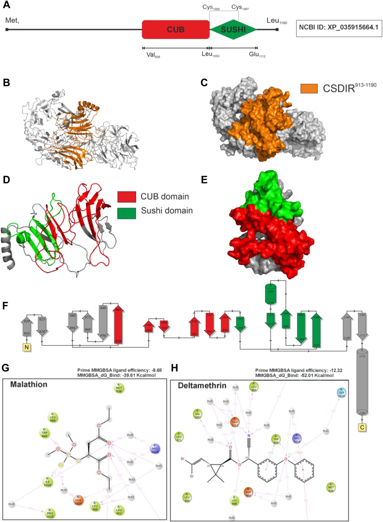 Figure 3