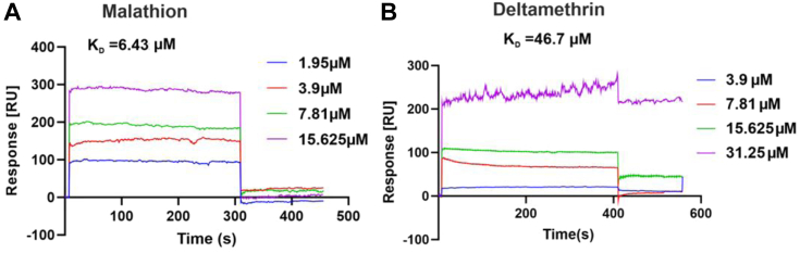 Figure 5