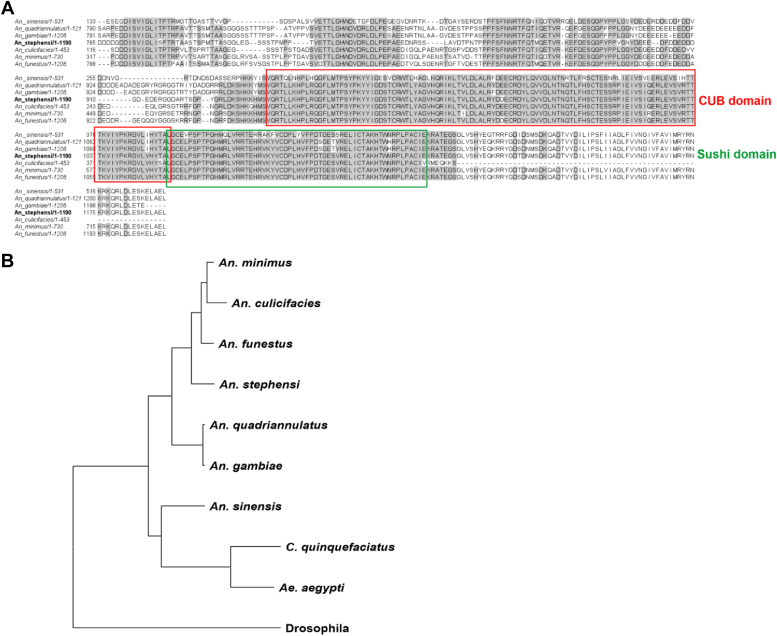 Figure 2