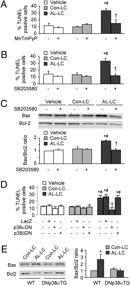 Fig. 5.