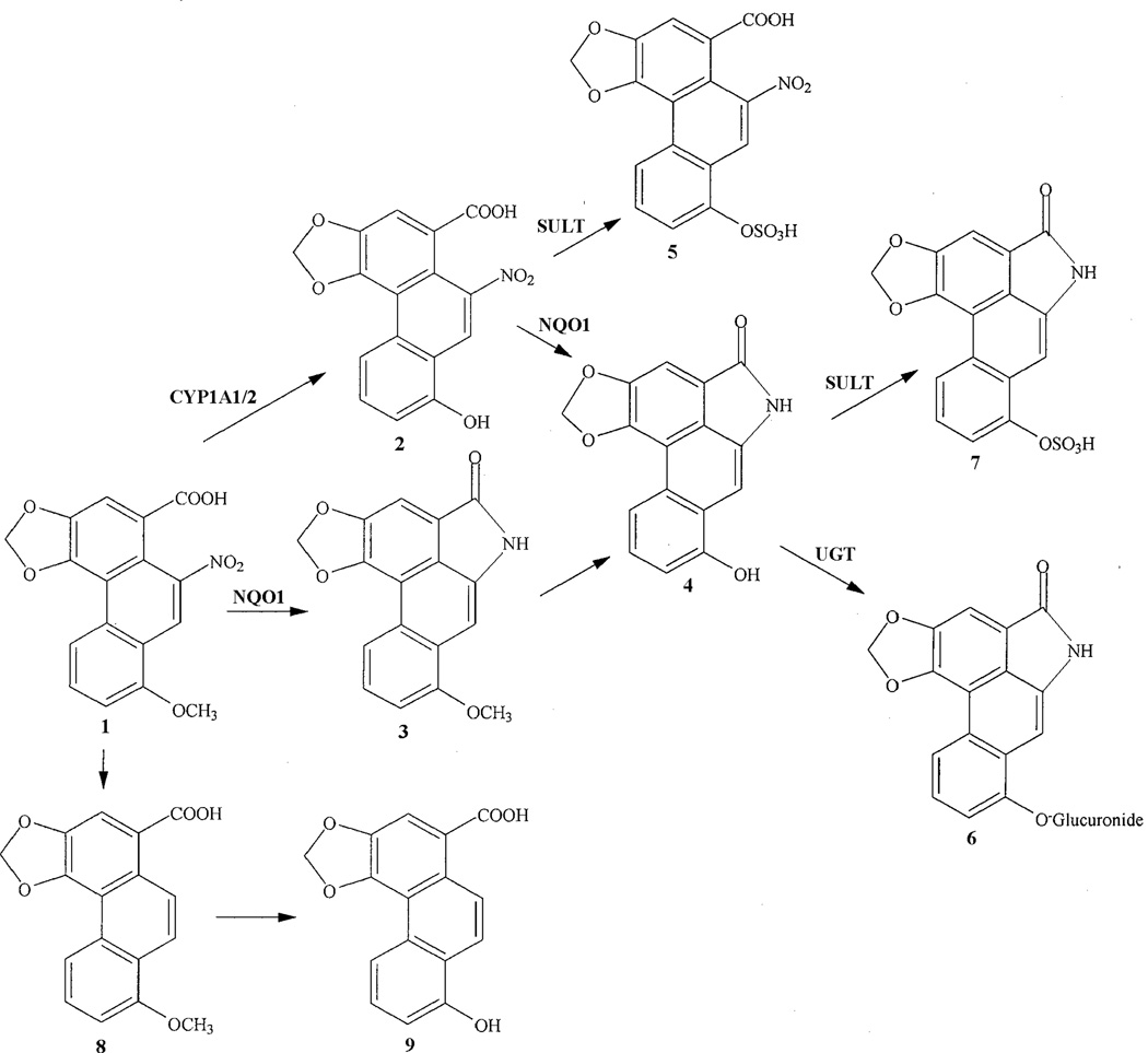 Scheme 1