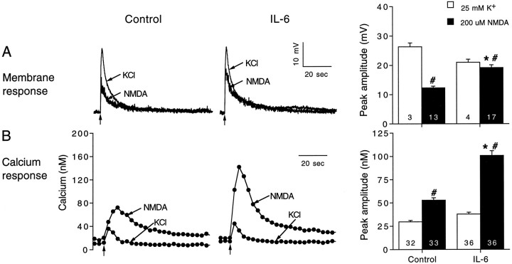 Fig. 6.