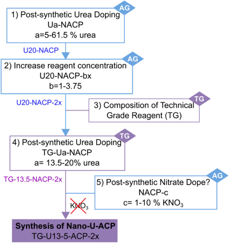 Scheme 2