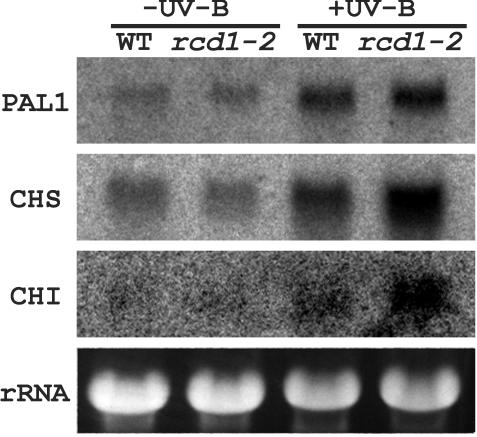 Figure 10.