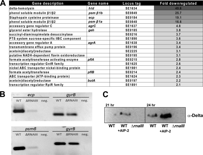 FIG 6