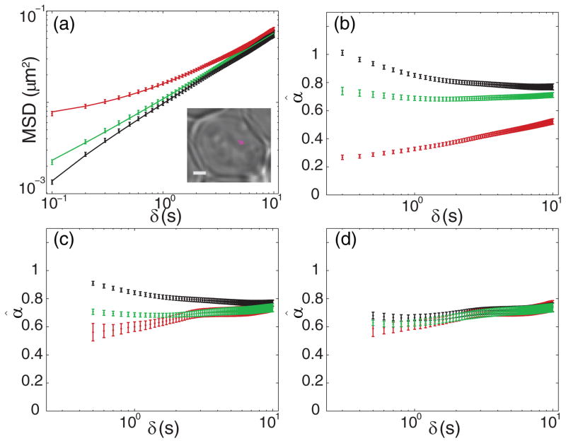 FIG. 1